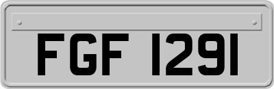 FGF1291