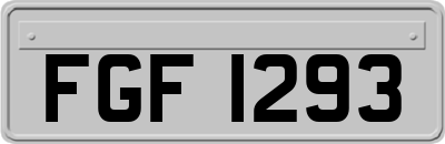FGF1293