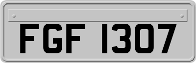 FGF1307