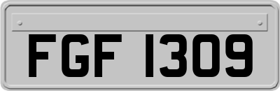 FGF1309