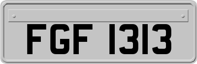 FGF1313