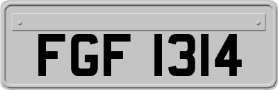 FGF1314