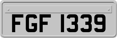 FGF1339