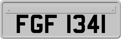 FGF1341