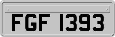 FGF1393