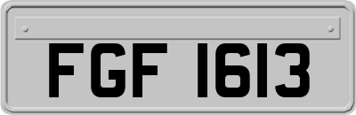 FGF1613