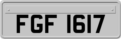 FGF1617