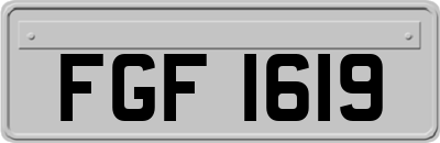 FGF1619