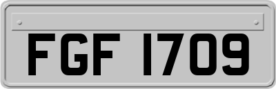 FGF1709