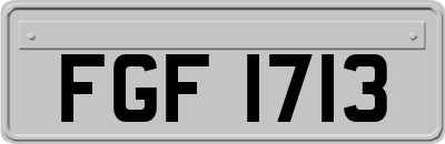 FGF1713