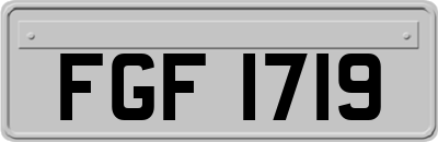 FGF1719
