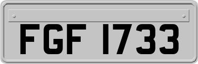 FGF1733