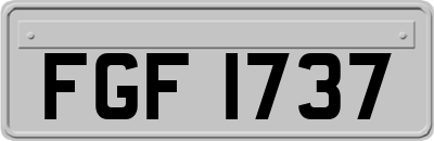 FGF1737