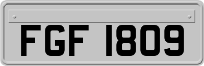 FGF1809