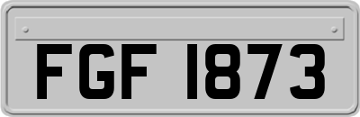 FGF1873