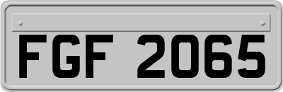 FGF2065