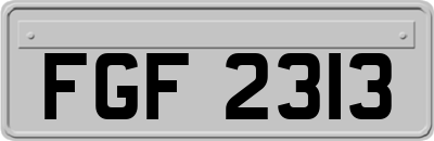 FGF2313