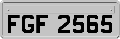 FGF2565