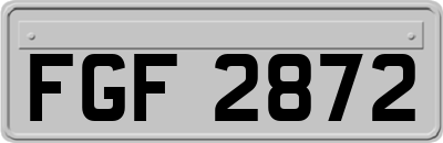 FGF2872