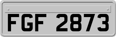 FGF2873