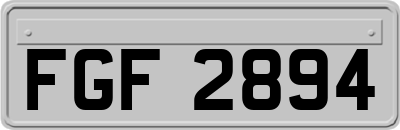FGF2894