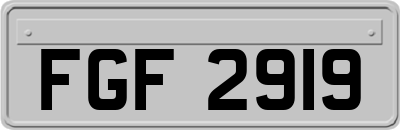 FGF2919