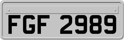 FGF2989