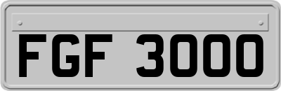 FGF3000
