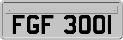FGF3001
