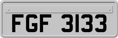 FGF3133
