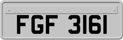 FGF3161