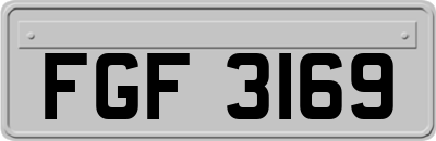 FGF3169