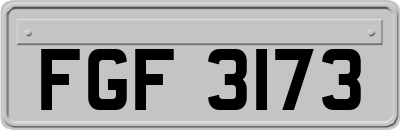 FGF3173