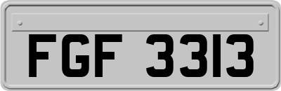 FGF3313