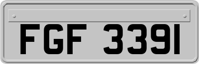 FGF3391