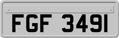 FGF3491
