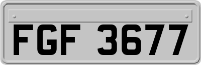 FGF3677