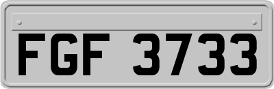 FGF3733