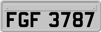 FGF3787