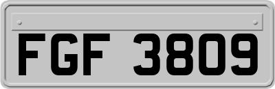 FGF3809