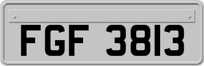 FGF3813