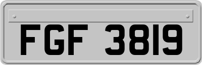 FGF3819
