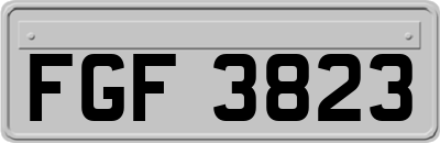 FGF3823