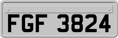 FGF3824