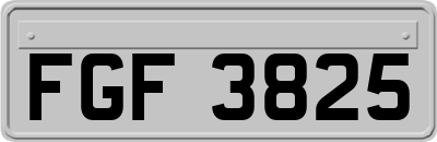 FGF3825