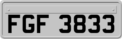 FGF3833