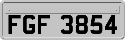 FGF3854