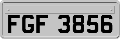 FGF3856