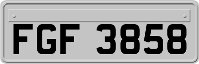 FGF3858