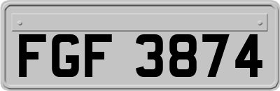 FGF3874
